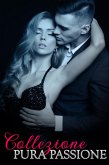 Set in Scatola Romanzo Pura Passione (eBook, ePUB) Set in Scatola Romanzo Pura Passione (eBook, ePUB)