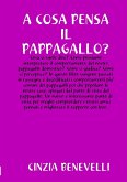 A COSA PENSA IL PAPPPAGALLO?