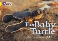 The Baby Turtle - Belcher, Andy; Belcher, Angie