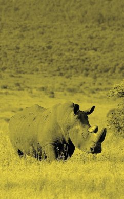 Alive! white rhino - Yellow duotone - Photo Art Notebooks (5 x 8 series) - Jansson, Eva-Lotta