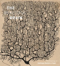The Beautiful Brain - Swanson, Larry; Newman, Eric; Araque, Alfonso