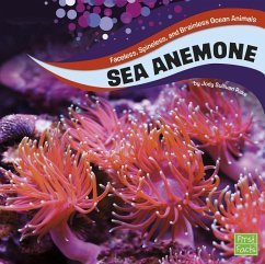 Sea Anemones - Rake, Jody S.