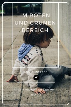 Im Roten und Grünen Bereich (eBook, ePUB) - Strebel, Hanniel