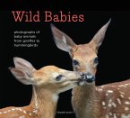 Wild Babies