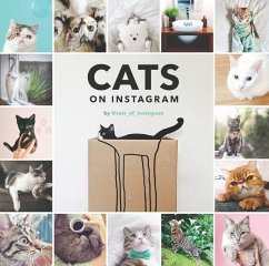 Cats on Instagram - @Cats_Of_Instagram