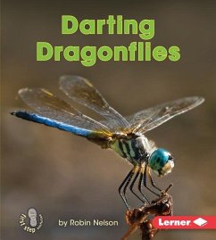 Darting Dragonflies - Nelson, Robin