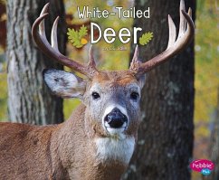 White-Tailed Deer - Lake, G. G.