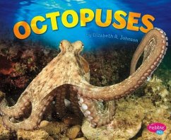 Octopuses - Johnson, Elizabeth R.