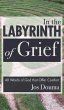 In the Labyrinth of Grief - Bild 1
