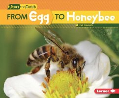 From Egg to Honeybee - Owings, Lisa