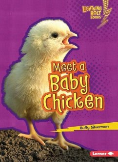 Meet a Baby Chicken - Silverman, Buffy