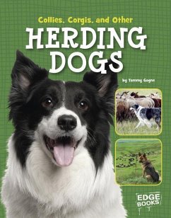 Collies, Corgies, and Other Herding Dogs - Gagne, Tammy