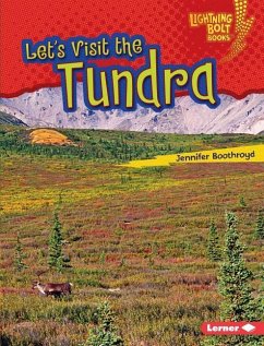 Let's Visit the Tundra - Boothroyd, Jennifer