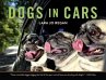 Dogs in Cars - Bild 1