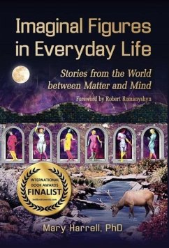 Cover Imaginal Figures In Everyday Life