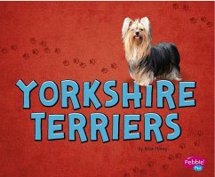 Yorkshire Terriers - Morey, Allan