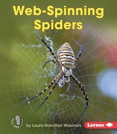 Web-Spinning Spiders - Waxman, Laura Hamilton