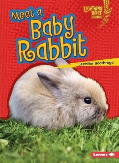 Meet a Baby Rabbit - Boothroyd, Jennifer