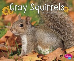 Gray Squirrels - Lake, G. G.