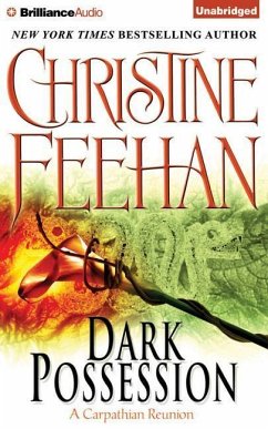 Dark Possession - Feehan, Christine