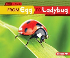 From Egg to Ladybug - Owings, Lisa