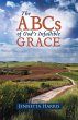 The ABCs of God's Infallible Grace - Bild 1