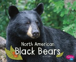 North American Black Bears - Lake, G. G.