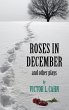 Roses in December - Bild 1