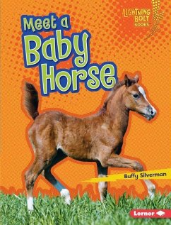 Meet a Baby Horse - Silverman, Buffy