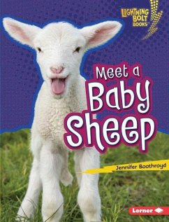 Meet a Baby Sheep - Boothroyd, Jennifer