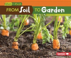 From Soil to Garden - Schuh, Mari C