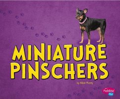 Miniature Pinschers - Morey, Allan