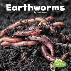 Earthworms - Amstutz, Lisa J