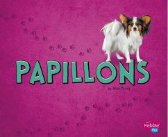 Papillons - Morey, Allan