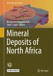 Mineral Deposits of North Africa - Bild 1