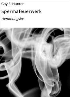 Spermafeuerwerk (eBook, ePUB) - Hunter, Gay S.