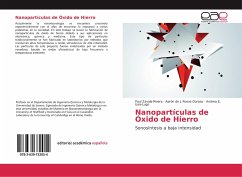 Nanopartículas de Óxido de Hierro - Zavala-Rivera, Paul;Rosas-Durazo, Aarón de J.;Icea-Lugo, Andrea E.