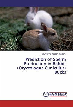 Prediction of Sperm Production in Rabbit (Oryctolagus Cuniculus) Bucks