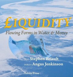 Liquidity - Briault, Stephen