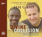 Divine Collision: An African Boy, an American Lawyer, and Their Remarkable Battle for Freedom