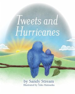 Tweets and Hurricanes - Stream, Sandy