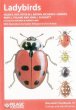 Ladybirds - Bild 1