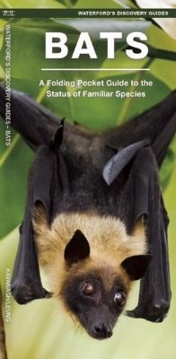 Bats - Kavanagh, James; Waterford Press