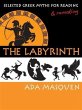 Labyrinth (eBook, ePUB) - Bild 1