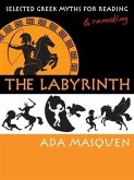 Labyrinth (eBook, ePUB)