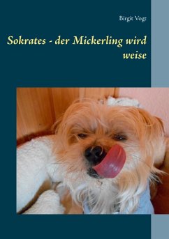 Sokrates - der Mickerling wird weise (eBook, ePUB) - Vogt, Birgit