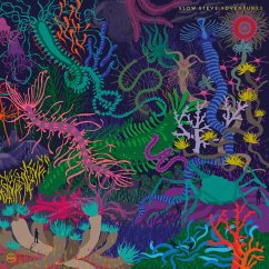 Adventures - Slow Steve