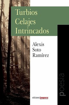 Turbios Celajes Intrincados - Soto Ramírez, Alexis Turbios Celajes Intrincados - Soto Ramírez, Alexis