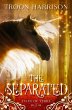 The Separated (Tales of Terre, #1)... - Bild 1