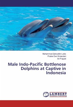 Male Indo-Pacific Bottlenose Dolphins at Captive in Indonesia